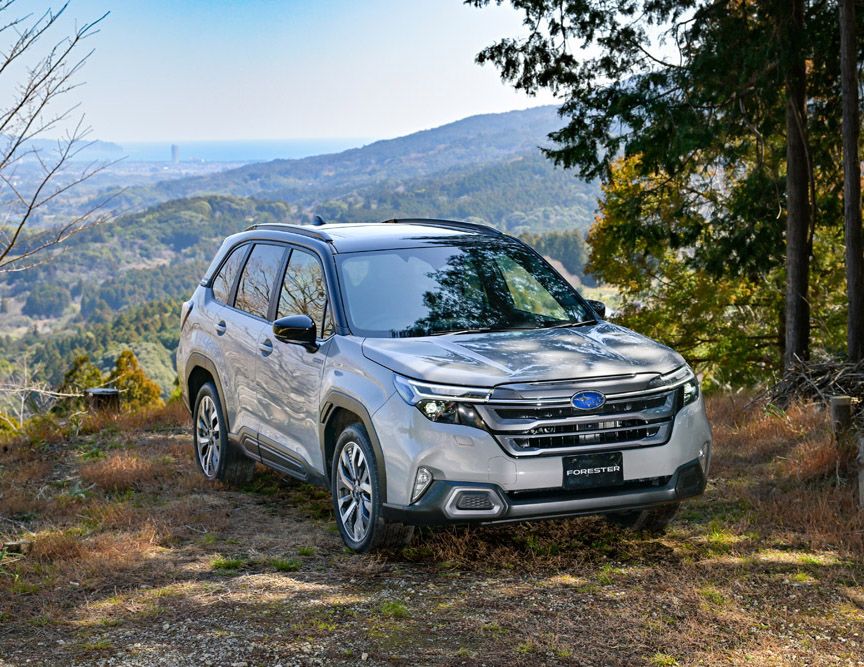 写真で見るニューモデル2025